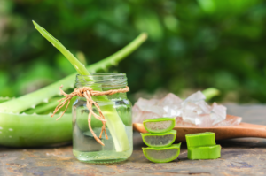 use Aloe Vera Oil to have beautiful hands