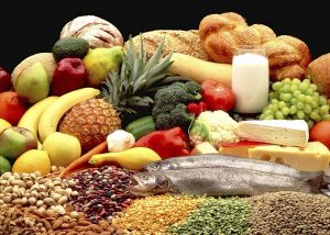 Proteins, Vitamins, Nutrition